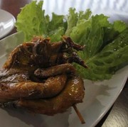 [FORUM] enakan daging burung atau daging ayam ya girls?