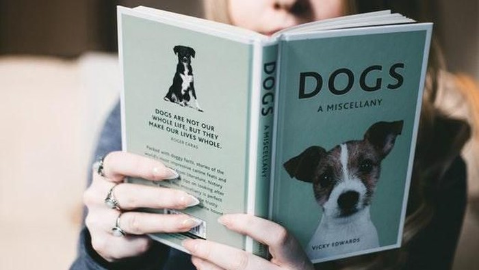 Jangan Lewatkan Membaca 4 Novel Romantis yang Kisahnya Telah Diangkat Ke Layar Lebar Ini