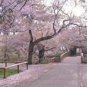 [FORUM] DESTINASI IMPIAN DI NEGARA JEPANG YANG INGIN DIKUNJUNGI