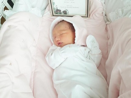Baru Lahir, Hidung Anak Shandy Aulia Curi Perhatian Netizen