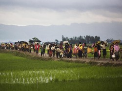 Myanmar Tangkap 48 Warga Rohingya yang Kabur dari Kamp Pengungsian