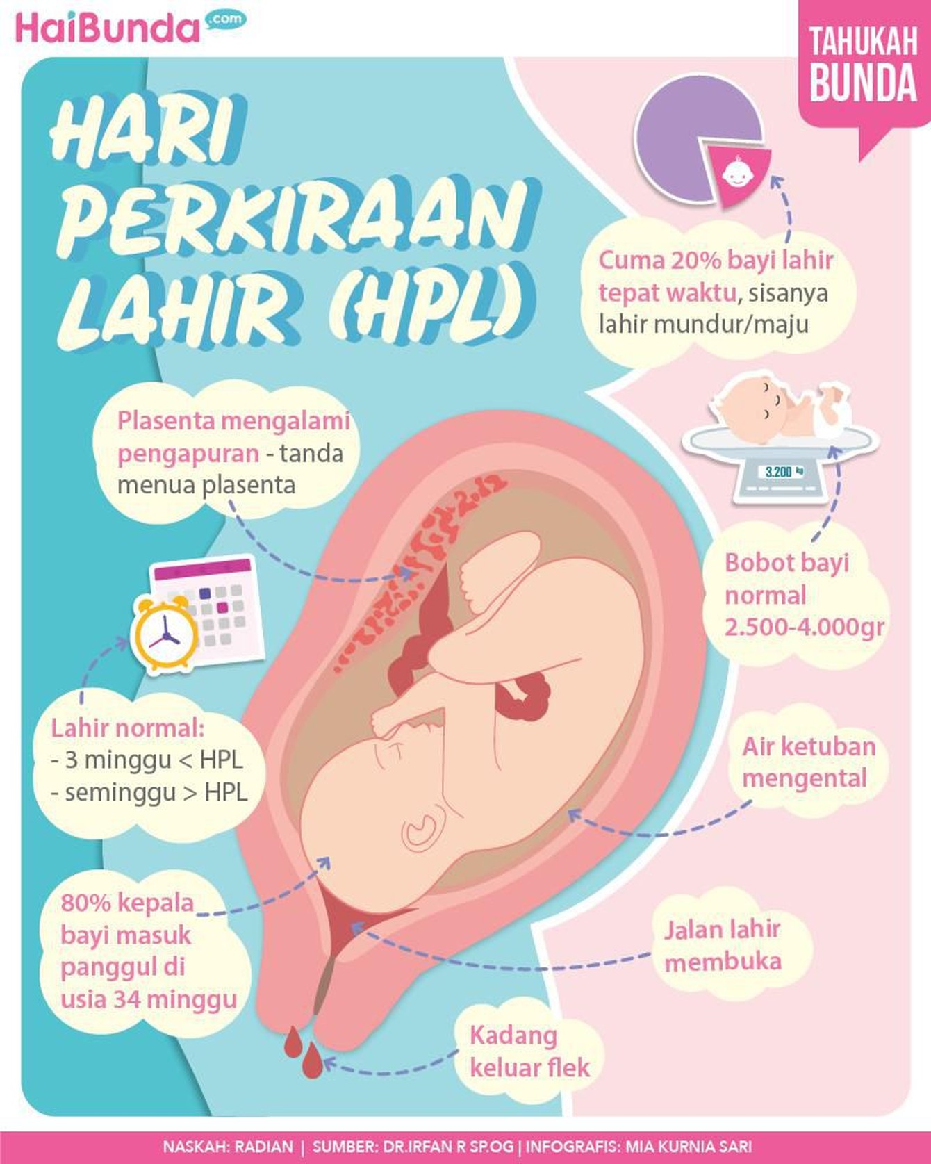 8 Fakta Menarik soal Hari Perkiraan Lahir Biasanya tenaga medis memakai usia kehamilan untuk memprediksi Hari Perkiraan Lahir (HPL). Umumnya, wanita menjalani 40 minggu usia kehamilan.