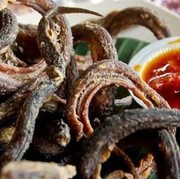 [FORUM] Belut tuh halal gak ya girls?