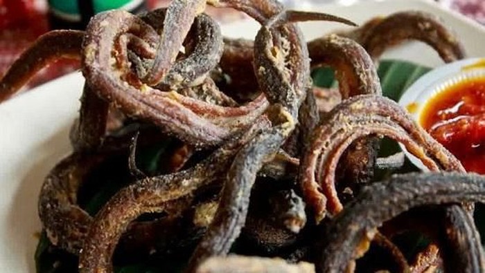 [FORUM] Belut tuh halal gak ya girls?