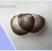 [FORUM] Softlens kering masih bisa dipakai ngga?