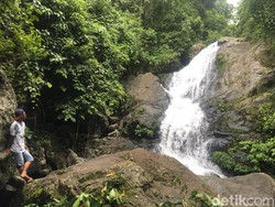 Air Terjun Tersembunyi di Hutan Sulawesi Barat