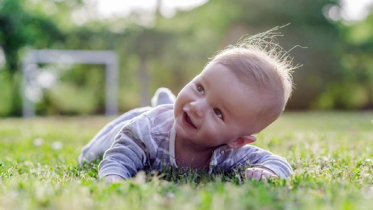 Nama bayi bermakna pohon bisa jadi salah satu pilihan untuk nama si kecil, Bunda. Cek yuk inspirasi nama nama bermakna pohon yang HaiBunda rangkum berikut ini.