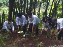 Jokowi Tanam Vetiver hingga Porang di Hulu Waduk Gajah Mungkur