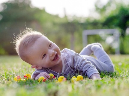 50 Inspirasi Nama Bayi Laki-laki Bermakna Pohon