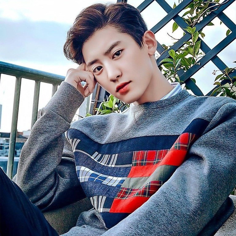 Chanyeol EXO Chanyeol EXO
