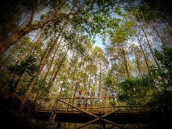 Jembatan Cinta