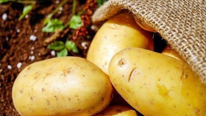 Cara Menurunkan Berat Badan Hanya dengan Mengonsumsi Kentang