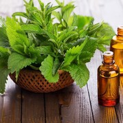 Manfaat Peppermint untuk Tubuh yang Bisa Tingkatkan Konsentrasi