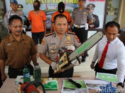 Warga Banyuwangi dan Surabaya Kepergok Curi Kayu Jati