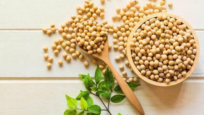 Kedelai, Tak hanya Baik untuk Kesehatan Berikut Manfaatnya untuk Kecantikan!