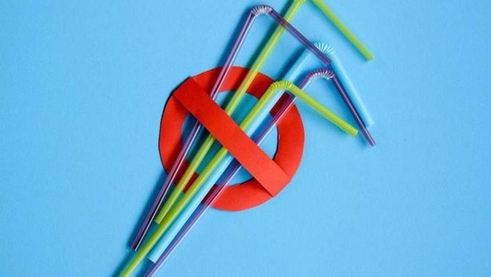 Pemakaian Sedotan Berbahaya, Inilah Pengganti Alternatif yang Bisa Digunakan