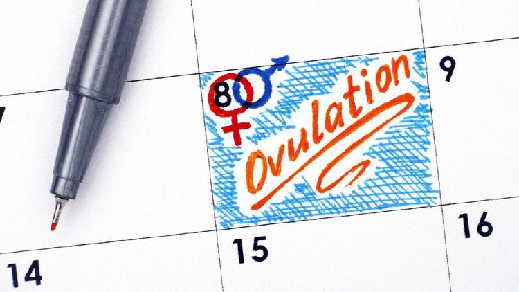 Young woman hand holding red clock Ovulation test strip with calendar in background. Positive result. It is a time for baby.Gynecology concept