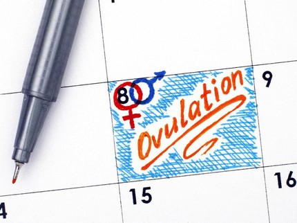 Cara Mudah Membuat Kalender Masa Subur Sendiri di Rumah: Gampang Kok, Bun