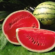 Diet Semangka Ampuh Turunkan Berat Badan dalam Lima Hari