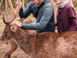 Love Nature