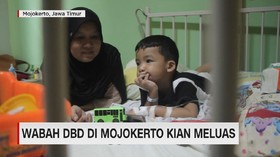 VIDEO: Wabah DBD Di Mojokerto Kian Meluas