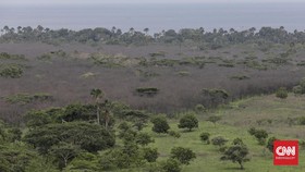 FOTO: Pemandangan Langka Taman Nasional Baluran Menghijau