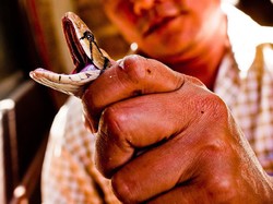 Desa Ular di Vietnam Ini Jadi Destinasi Kuliner Favorit Para Turis