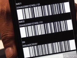 Curhatan WNI Daftar IMEI HP di Bandara Masih Susah