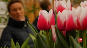 VIDEO: Ribuan Tulip Datangkan Musim Semi Lebih Awal di Rusia