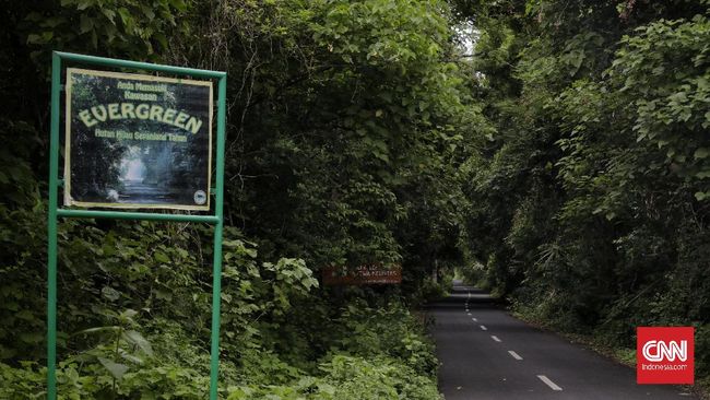 Kawasan Taman Nasional Baluran, Banyuwangi, Jawa Timur. CNN Indonesia/Adhi Wicaksono