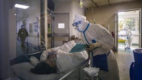 Pendatang dari Jakarta Terinfeksi Virus Corona di Australia