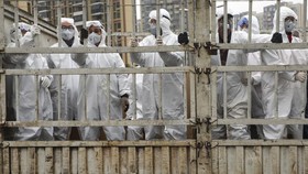 China Lockdown 4 Kota Imbas Lonjakan Kasus Corona