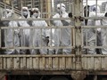 Jepang Liburkan Sekolah Gara-gara Virus Corona