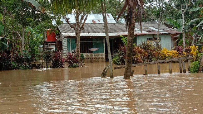 Banjir nan merendam area dekat IKN, ialah Kabupaten Penajam Paser Utara, Kalimantan Timur sekarang berangsur surut.