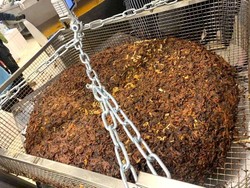 Pecahkan Rekor Dunia, Chef Ini Masak Onion Bhaji Seberat 175 Kilogram!