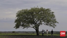 Taman Nasional Mulai Dibuka Bertahap Hingga Tengah Juli