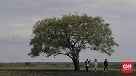Taman Nasional Mulai Dibuka Bertahap Hingga Tengah Juli