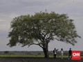Taman Nasional Mulai Dibuka Bertahap Hingga Tengah Juli