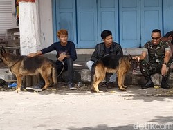 Komunitas Pecinta Anjing Blitar Turut Serta Amankan Persebaya Vs Arema