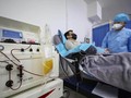 Studi Ungkap Terapi Plasma Darah Pasien Corona Tidak Efektif