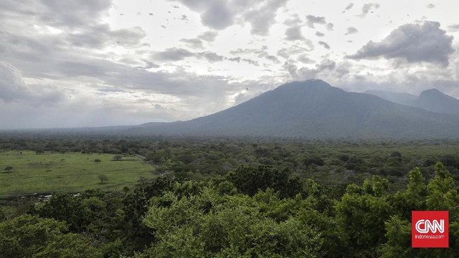 Bupati Banyuwangi Abdullah Azwar Anas mengungkapkan okupansi kamar hotel di Banyuwangi mencapai 70 persen saat akhir pekan.