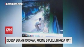 VIDEO: Diduga Buang Kotoran, Kucing Dipukul Hingga Mati