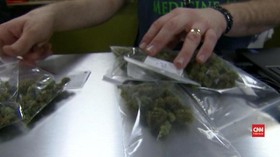 Jadi Tanaman Binaan Kementan, Ganja Tetap Ilegal di Indonesia