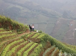 7 Lembah di Jabar yang Kece Banget, Cocok Buat Healing!