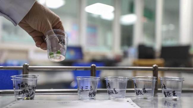 In this Sunday, Feb. 16, 2020, photo, a nurse prepares medicines for patients at Jinyintan Hospital designated for new coronavirus infected patients, in Wuhan in central China's Hubei province. China reported thousands new virus cases and more deaths in its update Tuesday, Feb. 18, 2020 on a disease outbreak that has caused milder illness in most people, an assessment that promoted guarded optimism from global health authorities. (Chinatopix via AP)