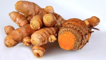 Temulawak Ampuh Obati Maag Lho, Bun