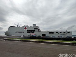 Dua Opsi Penjemputan WNI ABK Diamond Princess di Jepang