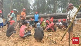26 Warga Adat Maluku Ditangkap Karena Protes Pembalakan Hutan