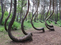 6 Tempat Paling Misterius di Dunia, Kastil Drakula hingga Garis di Gurun