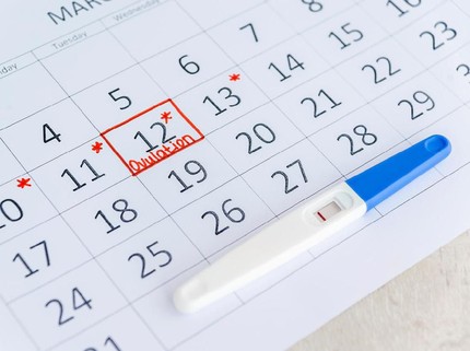 Masa Subur & Jarak Ideal untuk Wanita Hamil Kembali setelah Melahirkan